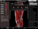 IMuscle Nova: Προσωπικό γυμναστή με τρισδιάστατη προβολή ανθρώπινου σώματος [iOS]