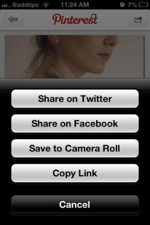 Pinterest iOS Share