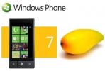 Umgang mit mehreren Internet Explorer-Registerkarten in Windows Phone 7 Mango