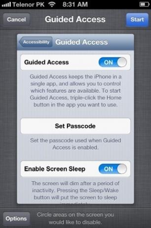 Tilgængelighed Guidet adgangskonfiguration iPhone iOS 6