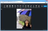 Modifier des photos Facebook dans Chrome avec le `` photon '' basé sur la volière