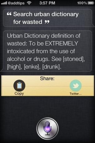 Urban Dictionary Assistant Siri