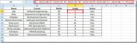 Formeln in Excel 2010-Zellen