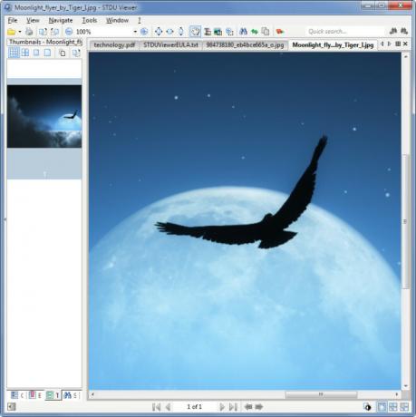 Moonlight_flyer_by_Tiger_I.jpg - STDU Viewer