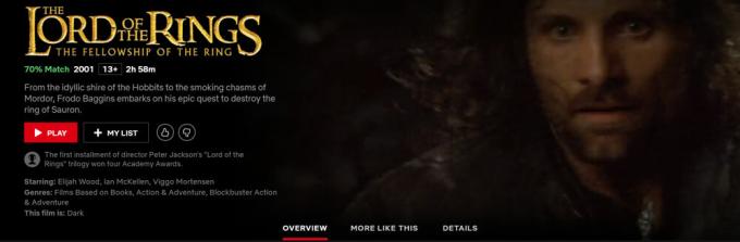 Is Lord of the Rings op Netflix