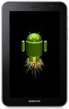 Saknes Galaxy Tab Plus 7.0 3G P6200 [Kā]