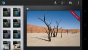 Популярное приложение для редактирования фотографий Snapseed теперь доступно на Android [Обзор]