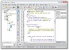 SynWrite ir portatīvs sintakse redaktors ar koda struktūras skatu kodam