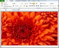ExcelArt: Utwórz arkusz kalkulacyjny klipu obrazu w programie Excel 2010