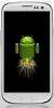 Sakne Samsung Galaxy S3 I9300 ar CF-Root