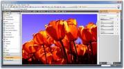 Photo Basic 3: Strumento completo per l'editing e la gestione delle immagini di Windows
