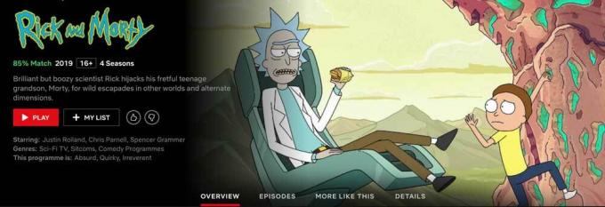 Netflix'te Rick ve Morty var mı?