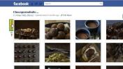 FBFlicker: צור ושתף אלבומי תמונות תלת מימד מתוך תמונות הפייסבוק שלך