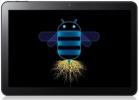 Ръчно актуализирайте Galaxy Tab 10.1 до официален Android 3.1 пчелна пита