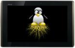 Rot Asus Eee Pad Transformer Honeycomb Tablet med ett klikk på Linux