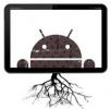 Root & Recovery pro Motorola Xoom v systému Android 4.0.3 ICS
