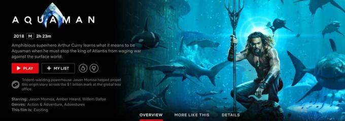 هل Aquaman على Netflix؟