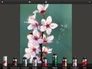 Paint Amazing Filters & Effects Over Photos With Repix για iOS